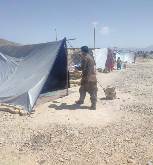 306190970_516577273804457_6715415117730266900_n