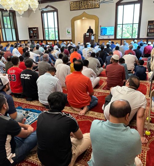 347246035_750384477090401_6254690978686236190_n